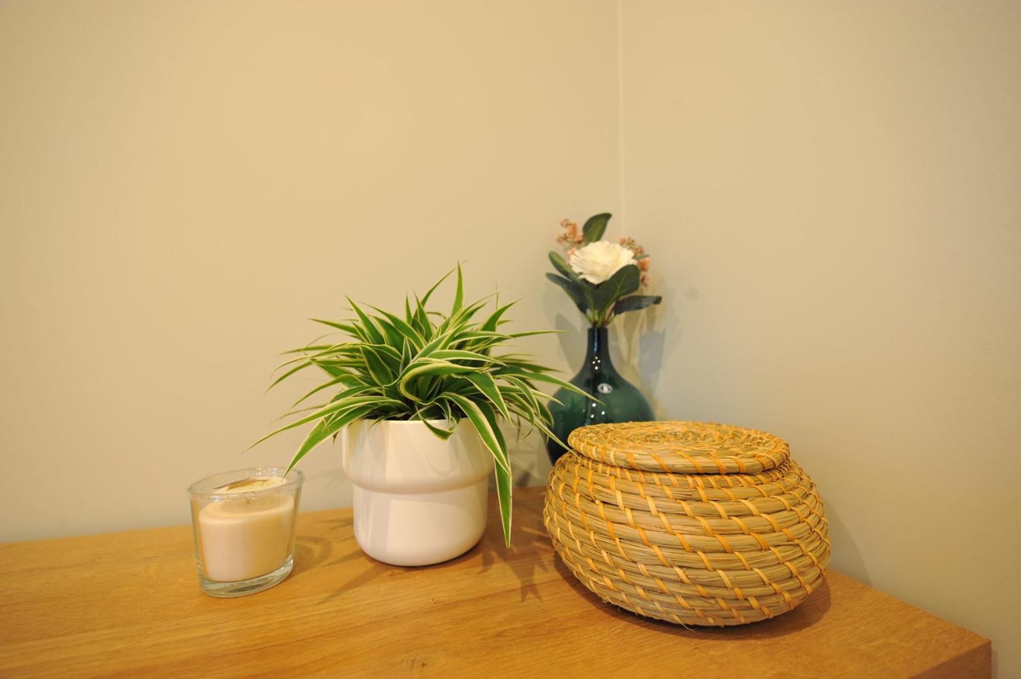 Central Comfort At Hanzas Residence, Stay Near Cafes, Bars, Museums & Esplanade รีกา ห้อง รูปภาพ